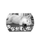まめしばりん 2（個別スタンプ：15）