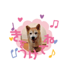 まめしばりん 2（個別スタンプ：19）