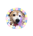 まめしばりん 2（個別スタンプ：24）