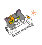 catcatcat2_kazusandraw（個別スタンプ：18）