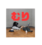 ビッグバンアタック（個別スタンプ：16）