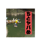 とんぼがえり（個別スタンプ：5）