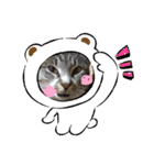 サバトラ猫カリーノちゃん（個別スタンプ：5）