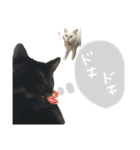 たいちゃんち3（個別スタンプ：6）