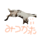 たいちゃんち3（個別スタンプ：14）