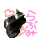 たいちゃんち3（個別スタンプ：15）