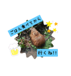 残したい物（個別スタンプ：1）