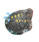 残したい物（個別スタンプ：2）