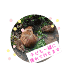 残したい物（個別スタンプ：3）