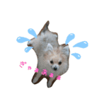 残したい物（個別スタンプ：8）