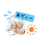 残したい物（個別スタンプ：13）