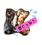 残したい物（個別スタンプ：17）