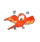 インコっぽい鳥(2文字)（個別スタンプ：1）