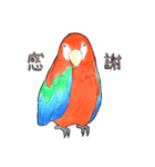 インコっぽい鳥(2文字)（個別スタンプ：3）