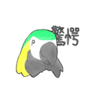 インコっぽい鳥(2文字)（個別スタンプ：6）