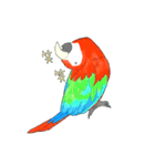 インコっぽい鳥(2文字)（個別スタンプ：11）