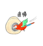 インコっぽい鳥(2文字)（個別スタンプ：13）