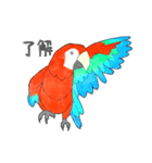 インコっぽい鳥(2文字)（個別スタンプ：14）