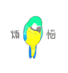 インコっぽい鳥(2文字)（個別スタンプ：15）