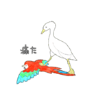 インコっぽい鳥(2文字)（個別スタンプ：16）