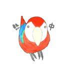 インコっぽい鳥(2文字)（個別スタンプ：20）