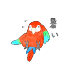インコっぽい鳥(2文字)（個別スタンプ：21）