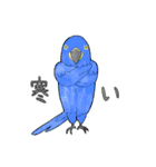 インコっぽい鳥(2文字)（個別スタンプ：22）