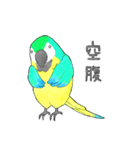 インコっぽい鳥(2文字)（個別スタンプ：23）
