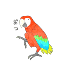 インコっぽい鳥(2文字)（個別スタンプ：25）