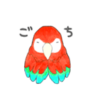 インコっぽい鳥(2文字)（個別スタンプ：26）