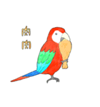 インコっぽい鳥(2文字)（個別スタンプ：27）
