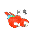 インコっぽい鳥(2文字)（個別スタンプ：30）