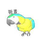 インコっぽい鳥(2文字)（個別スタンプ：31）