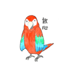 インコっぽい鳥(2文字)（個別スタンプ：34）