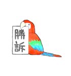 インコっぽい鳥(2文字)（個別スタンプ：37）