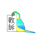 インコっぽい鳥(2文字)（個別スタンプ：38）
