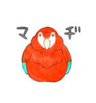 インコっぽい鳥(2文字)（個別スタンプ：39）