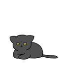 黒猫 にゃんこスタンプ（個別スタンプ：36）