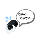 チビ太くんのスタンプだにゃ（個別スタンプ：15）