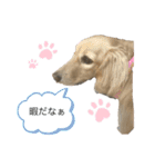 ダックスフンドのhana2（個別スタンプ：5）