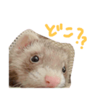 てまきちゃんすたんぷ②（個別スタンプ：3）