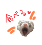 てまきちゃんすたんぷ②（個別スタンプ：6）