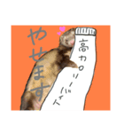 てまきちゃんすたんぷ②（個別スタンプ：7）