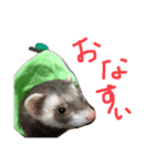 てまきちゃんすたんぷ②（個別スタンプ：8）