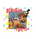**蘭丸の日常**（個別スタンプ：10）