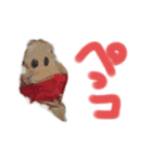 ドキドキハート（個別スタンプ：2）
