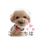 くうちゃんです！（個別スタンプ：1）