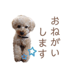 くうちゃんです！（個別スタンプ：6）