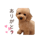くうちゃんです！（個別スタンプ：13）
