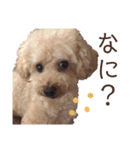 くうちゃんです！（個別スタンプ：18）